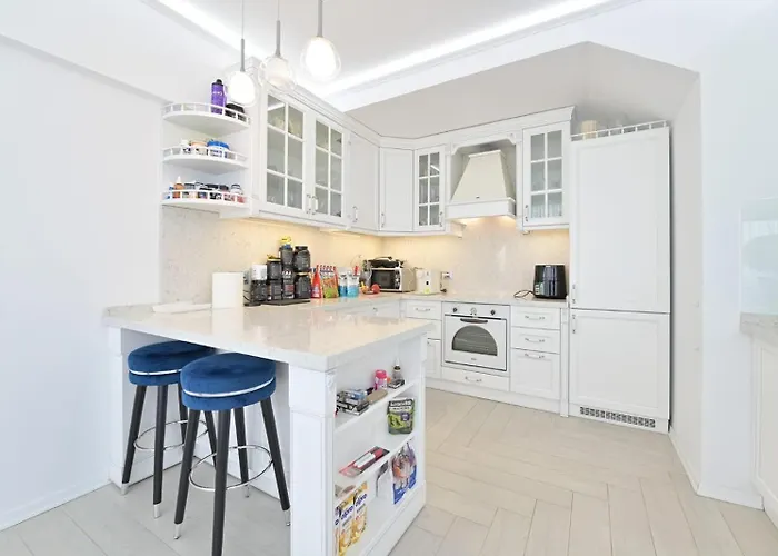 D&d Asmita بوخارست